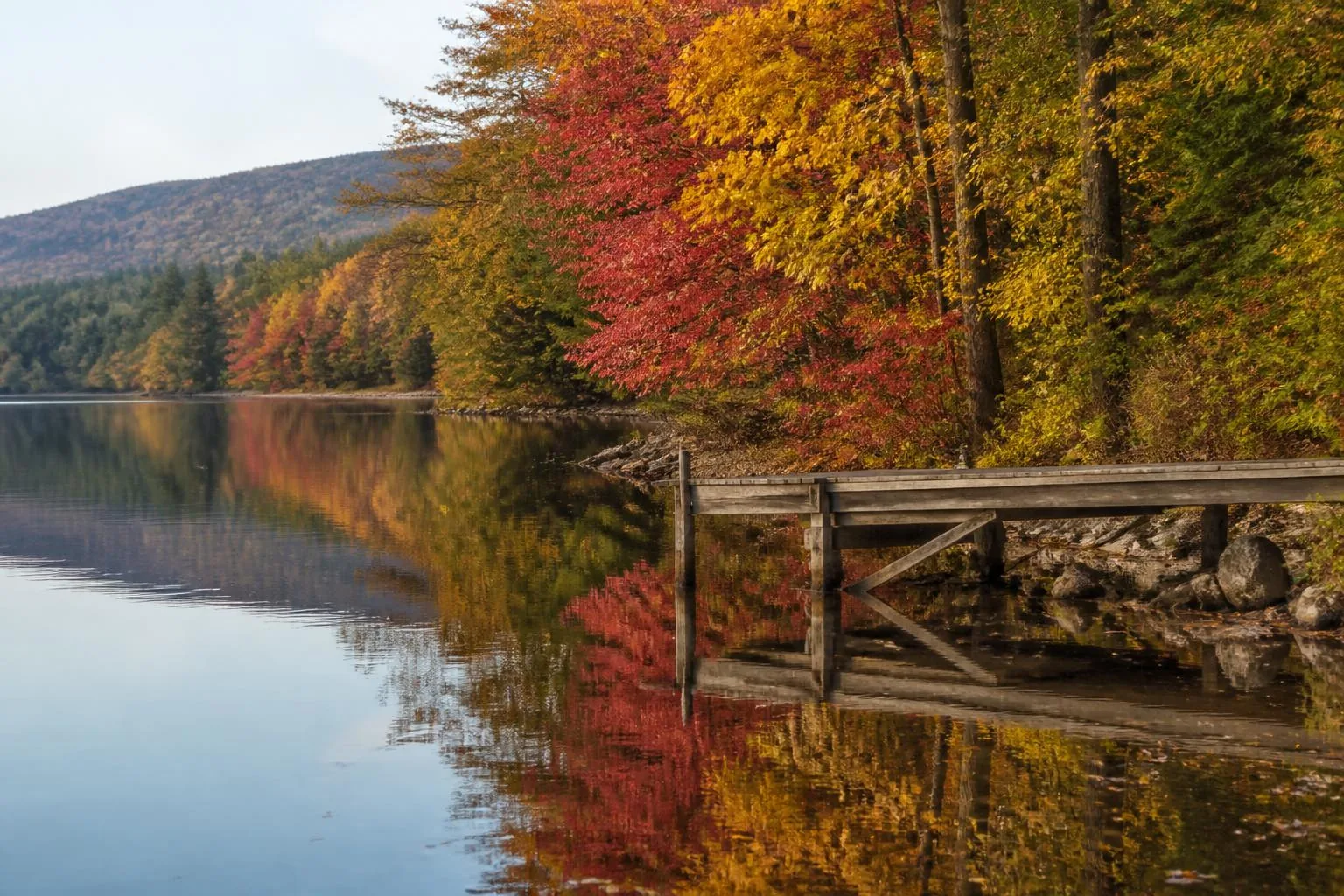 Accessibility — Lake Tillery, North Carolina