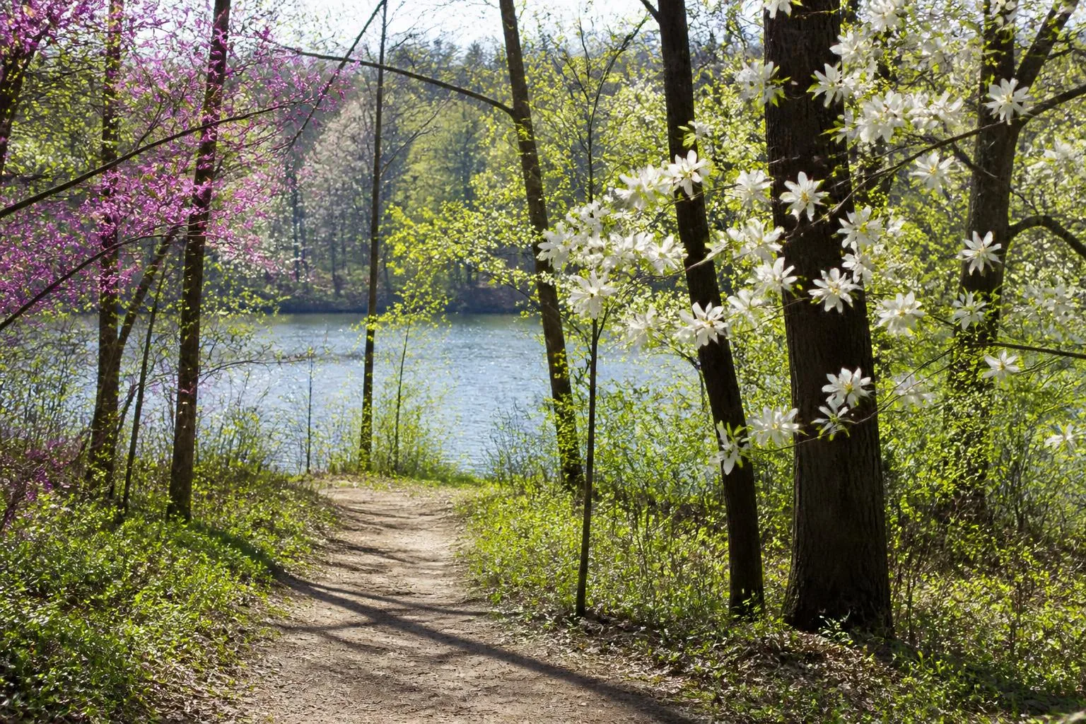 Uwharrie ridge overlook at Morrow Mountain State Park near Lake Tillery