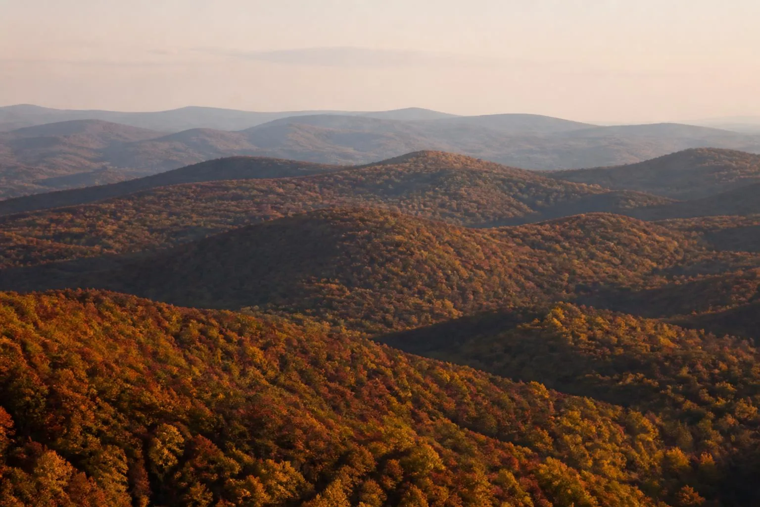 Uwharrie ridgeline above Lake Tillery